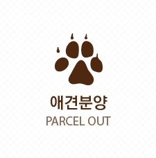 상품소개